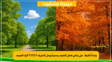 وداعاً للقيظ.. متى ينتهي فصل الصيف رسمياً ويحل الخريف 2025؟ إليك الموعد. 1